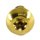 Titan Schraube M6 x 20mm - Torx T25 Linsenkopf ISO 7380 - Gold nitriert