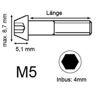 Titan Schraube M5 x 20mm - Innensechskant konischer Kopf - Schwarz