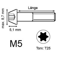 Titan Schraube M5 x 20mm - Torx T25 konischer Kopf - Schwarz