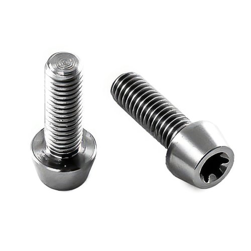 Titan Schraube M5 x 15mm - Torx T25 konischer Kopf