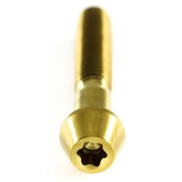 Titan Schraube M4 x 15mm - Torx T25 konischer Kopf - Gold nitriert
