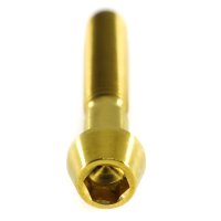 Titan Schraube M4x 10mm - Innensechskant konischer Kopf - Gold nitriert