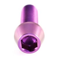 Titan Schrauben M5 x 15 mm - Innensechskant konischer Kopf - Violett