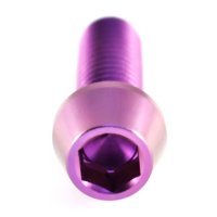 Titan Schrauben M6 x 18 mm - Innensechskant konischer Kopf - Violett