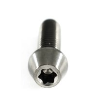 Titan Schraube M6 x 35mm - Torx T25 konischer Kopf