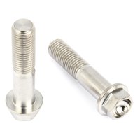 Titan Schraube - M10 x 45 mm x 1.25 - Flacher Sechskant...