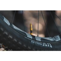 Lezyne Tubeless Ventil CNC - Rot - 44 mm
