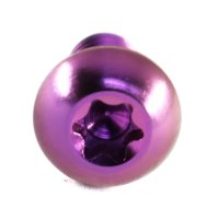 Titan Schraube M5 x 15mm - Torx T25 Linsenkopf ISO 7380 - Violett - für Bremsscheibe