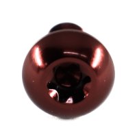 Titan Schraube M5 x 10 mm - Torx T25 Linsenkopf ISO 7380 - Rot - für Bremsscheibe