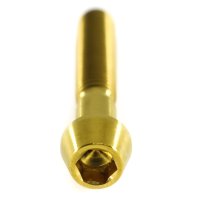 Titan Schraube M6 x 35mm - Innensechskant konischer Kopf - Gold nitriert