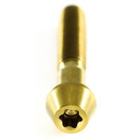 Titan Schraube M6 x 17,5mm - Torx T25 konischer Kopf - Gold - AUSLAUFARTIKEL