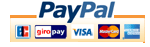 Einfach und schnell online zahlen über PayPal